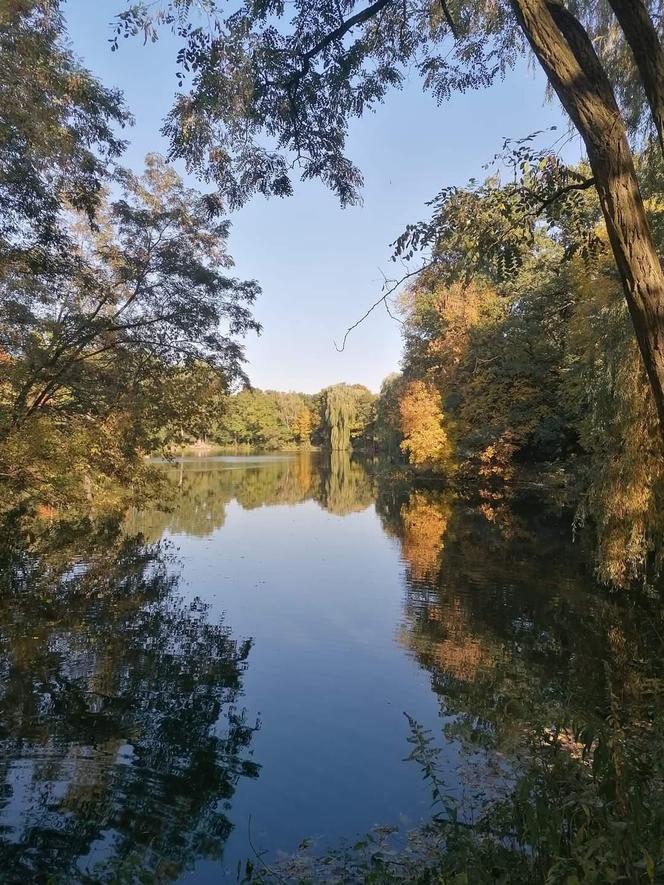 Zdjęcia Poznania od naszych Czytelników. Sprawdź te niesamowite ujęcia!