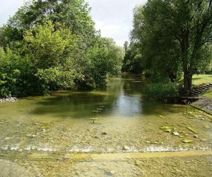 Rajgród
