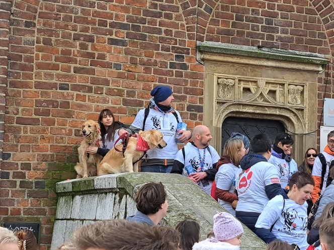 33. Finał WOŚP z grupą krakowskich Golden Retrieverów