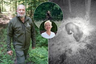 W Puszczy Knyszyńskiej pojawił się niedźwiedź. Ludzie się boją. Teraz nie wiem, czy odważę się sama wbiec do puszczy