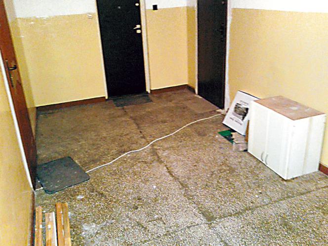 Wałęsa ciągnie prąd od sąsiadów