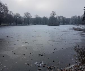 Gorzów: Stawy zamarzły, ale to nie powód, żeby wchodzić na lód