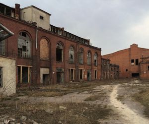 Bohema na ul. Szwedzkiej 6
