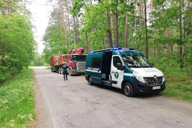 Dziwne zachowanie podczas kontroli. Zostawił ciężarówkę i uciekł do lasu [ZDJĘCIA]