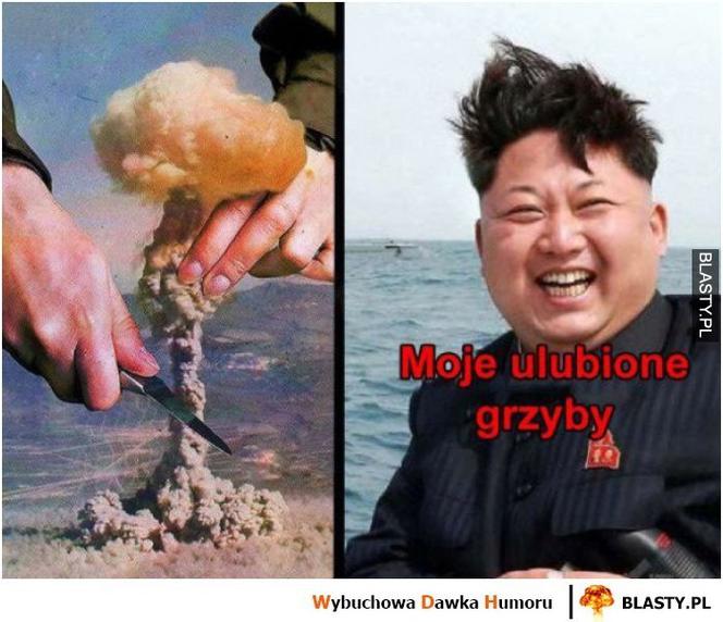 Trwa sezon na grzyby! Oto najlepsze memy o grzybiarzach!