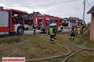 80-latka zginęła w pożarze swojego domu. Jej ciało leżało obok spalonego łóżka 