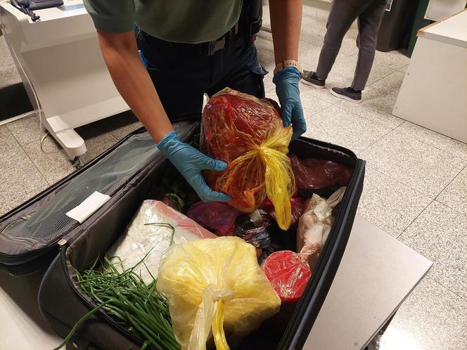 Nielegalna żywność przejęta na lotnisku w Pyrzowicach