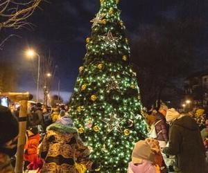 Dzielnicowe choinki w Gdańsku już świecą