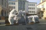 Białe niedźwiedzie na 3 Maja w Rzeszowie