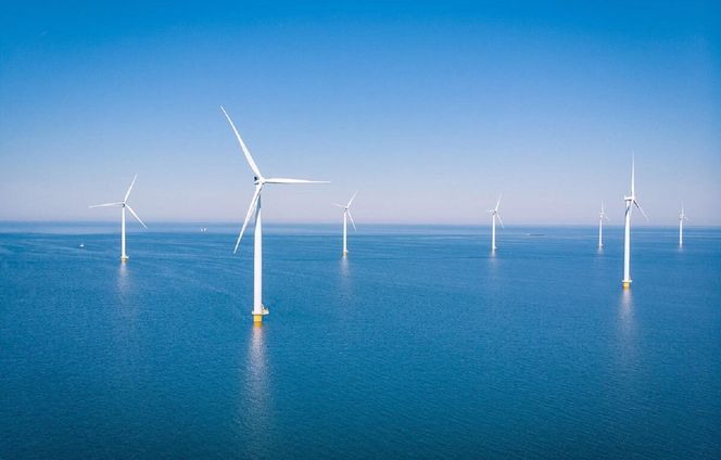 Inżynier ds. energii odnawialnej