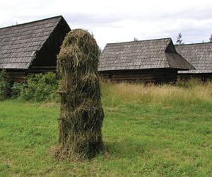 Ta małopolska wieś jest owiana wieloma legendami. Kiedyś była częścią Królestwa Węgier