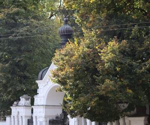 Nowa pora roku już jest w mieście. Lublin przybrał już jesienne barwy. Zobaczcie!