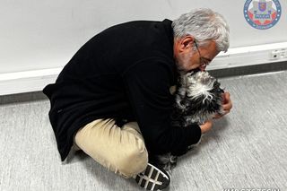 Uprowadzili psy byłego burmistrza Zurychu