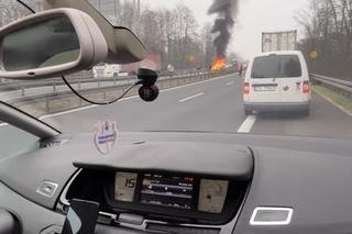 Szczecin Dąbie wypadek 