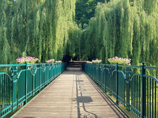 Park Miejski w Zamościu