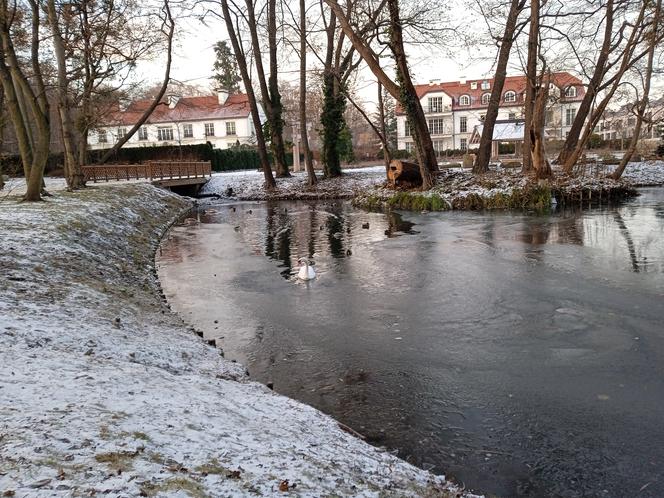 Zimowo i świątecznie w Gdańsku. Zobaczcie nasze zdjęcia!