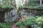 Rezerwat Dalejów w Świętokrzyskiem