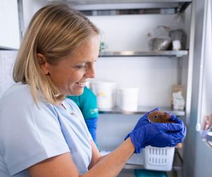 Małgorzata Trzaskowska. Kampania prezydencja