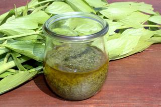 Sos lubczykowy - przepis na aromatyczny sos, idealny do sałat i carpaccio 