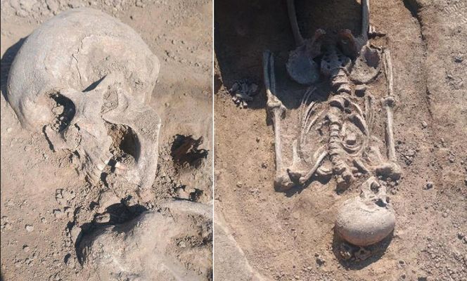 Niezwykłe znalezisko w Orłach. 