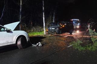 Koszmarny wypadek w Dąbrowie Górniczej. Jeden z samochodów ściął drzewo