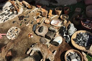Morowe powietrze festyn archeologiczny na kaliskim Zawodziu