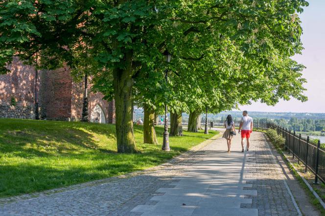 Powiew nowoczesności, stare zabytki czy otoczenie przyrody? Najlepsze miejsca w Płocku na długi spacer [GALERIA}