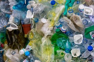 To koniec problemu ze śmieciami? Naukowcy odkryli że grzyby mogą zjadać plastik
