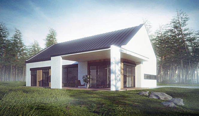 Projekt nr 058