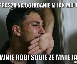 M jak miłość / Memy z serialu