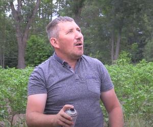 Rolnicy. Podlasie. Andrzej z Plutycz musi działać szybko i zdecydowanie, bo inaczej będą straty