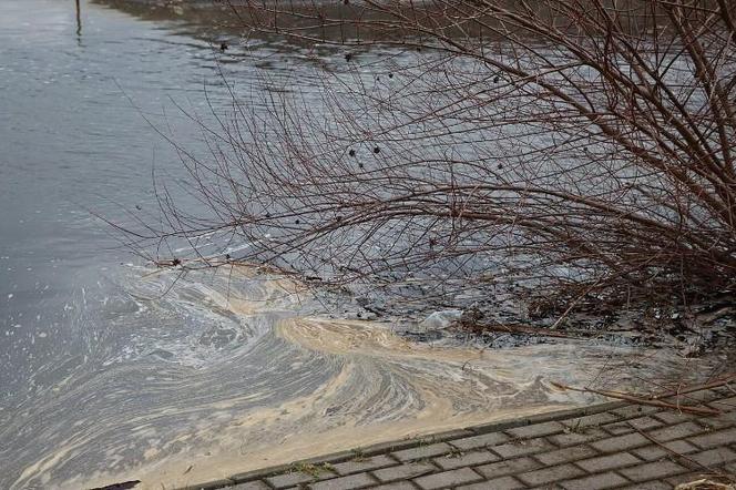 Poziom wody w Wiśle w Toruniu i okolicach