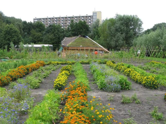 Przekierowanie, Edible Park by Nils Norman