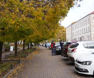 Kolorowe drzewa i klimatyczne kamienice. Ta ulica w Olsztynie zachwyca jesienią