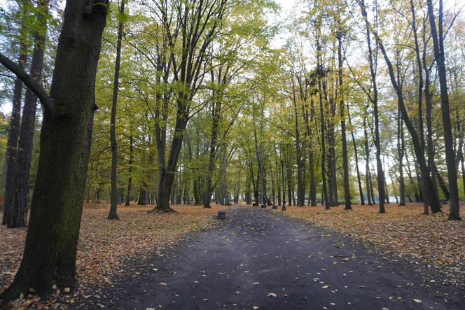 Park Lubomirskich w Białymstoku jesienią 