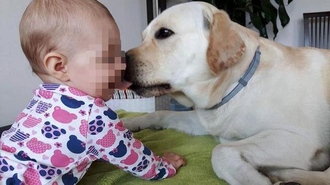 Dziwnów: Cała rodzina, w tym małe dzieci i piesek, była w aucie. Wpadli do wody, wszyscy utonęli