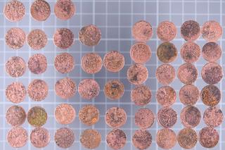 Cenne monety w przesyłce z Ukrainy. Pochodzą z okresu panowania króla Jana II Kazimierza Wazy