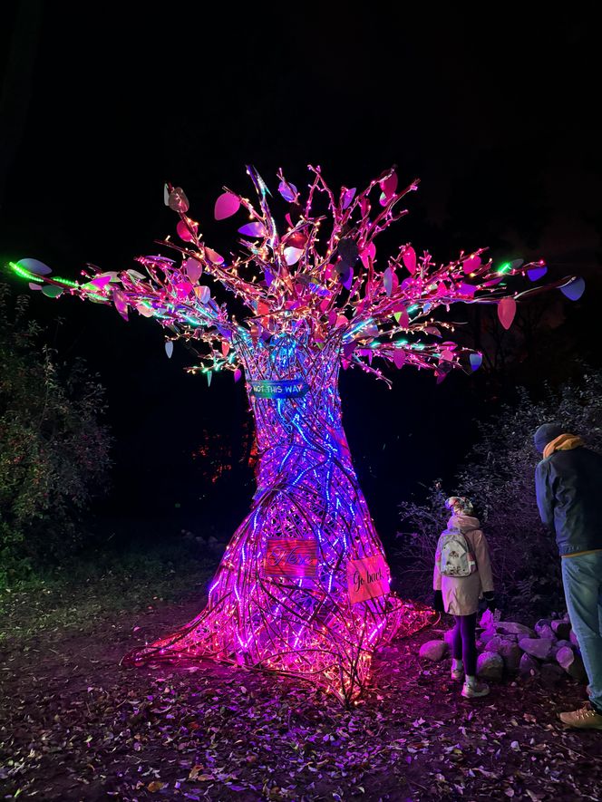 Otwarcie Lumina Parku w Poznaniu. Tegoroczne świecące miasteczko robi fenomenalne wrażenie!