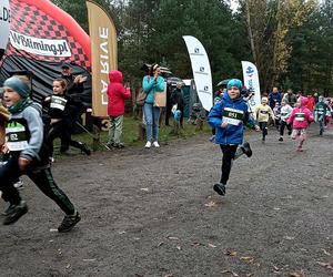 Bronek Run - Forest Edition 2022 w Grudziądzu. Ponad 300 biegaczy na starcie! [FOTO]