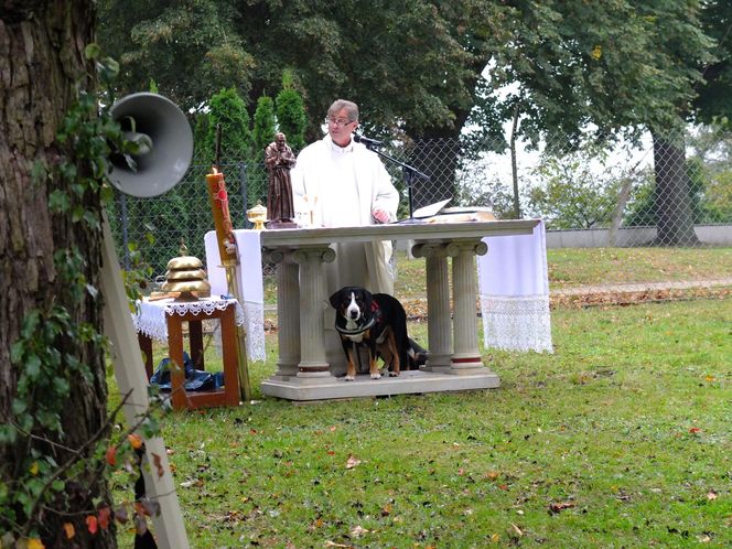 Z psem na mszę, czyli wyjątkowe nabożeństwo w Puławach. "To są nasi mniejsi bracia"