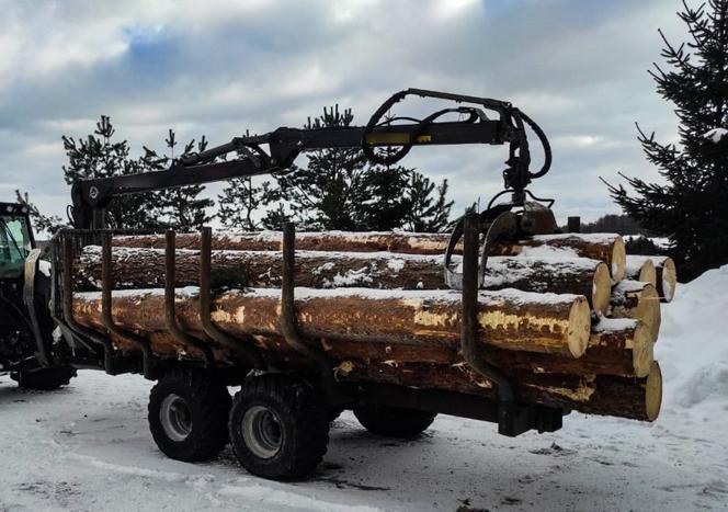 Michałowo. 36-latek wywoził drewno z lasu. Zdradził go ważny szczegół [ZDJĘCIA]