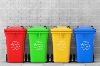 Segregowanie odpadów - co mówi prawo? Jak segregować odpady? Kary za łamanie przepisów