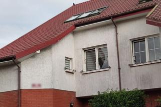 Uchylone okno przyczyną tragedii. Kot umierał w męczarniach