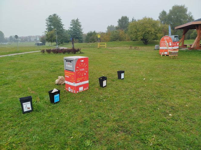 Dębowy Elektryczny Las został zasadzony nad Siedleckim zalewem w ramach programu Polska Stolica Recyklingu