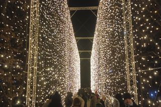 Iluminacje świetlne 2024 Gdańsk