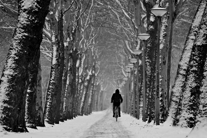 rower zimą 