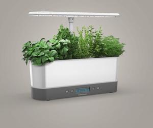 AeroGarden Harvest Elite