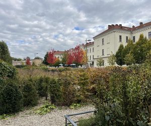 Park im. Wisławy Szymborskiej w Krakowie