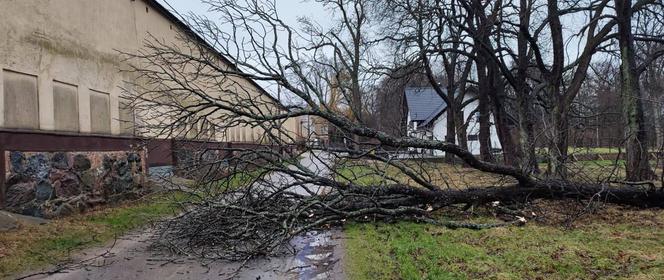 Pomorskie. Skutki silnych wiatrów w regionie. [rozmowa]