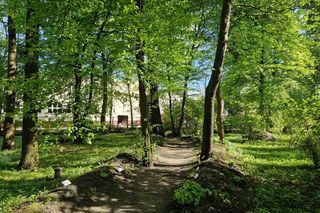 Wiosna w Ogrodzie Botanicznym UKW, czyli spacer wśród zieleni